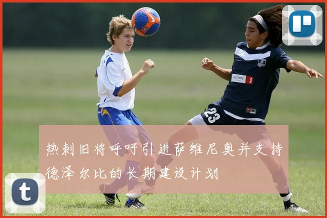 热刺旧将呼吁引进萨维尼奥并支持德泽尔比的长期建设计划