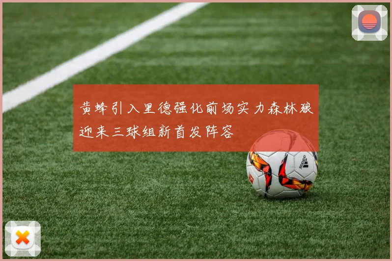 黄蜂引入里德强化前场实力森林狼迎来三球组新首发阵容